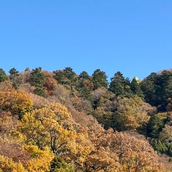 さっき見た展望塔