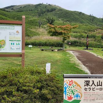 ここから