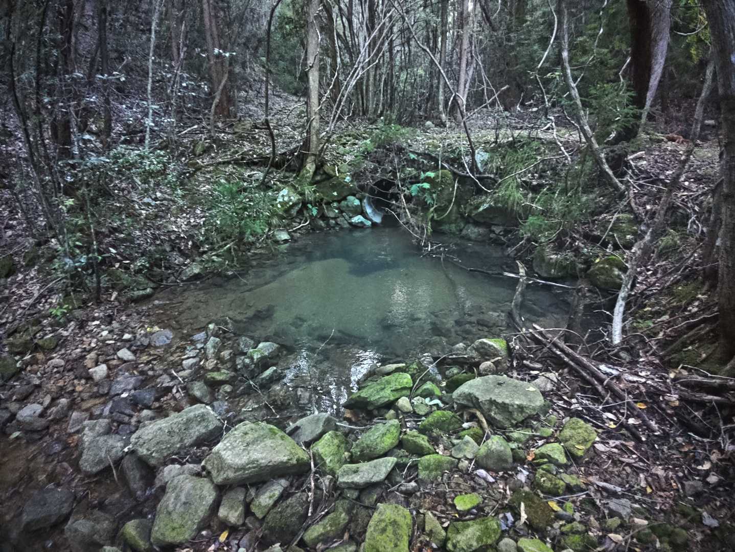 土管からの淵ですが、、
顔洗います。
