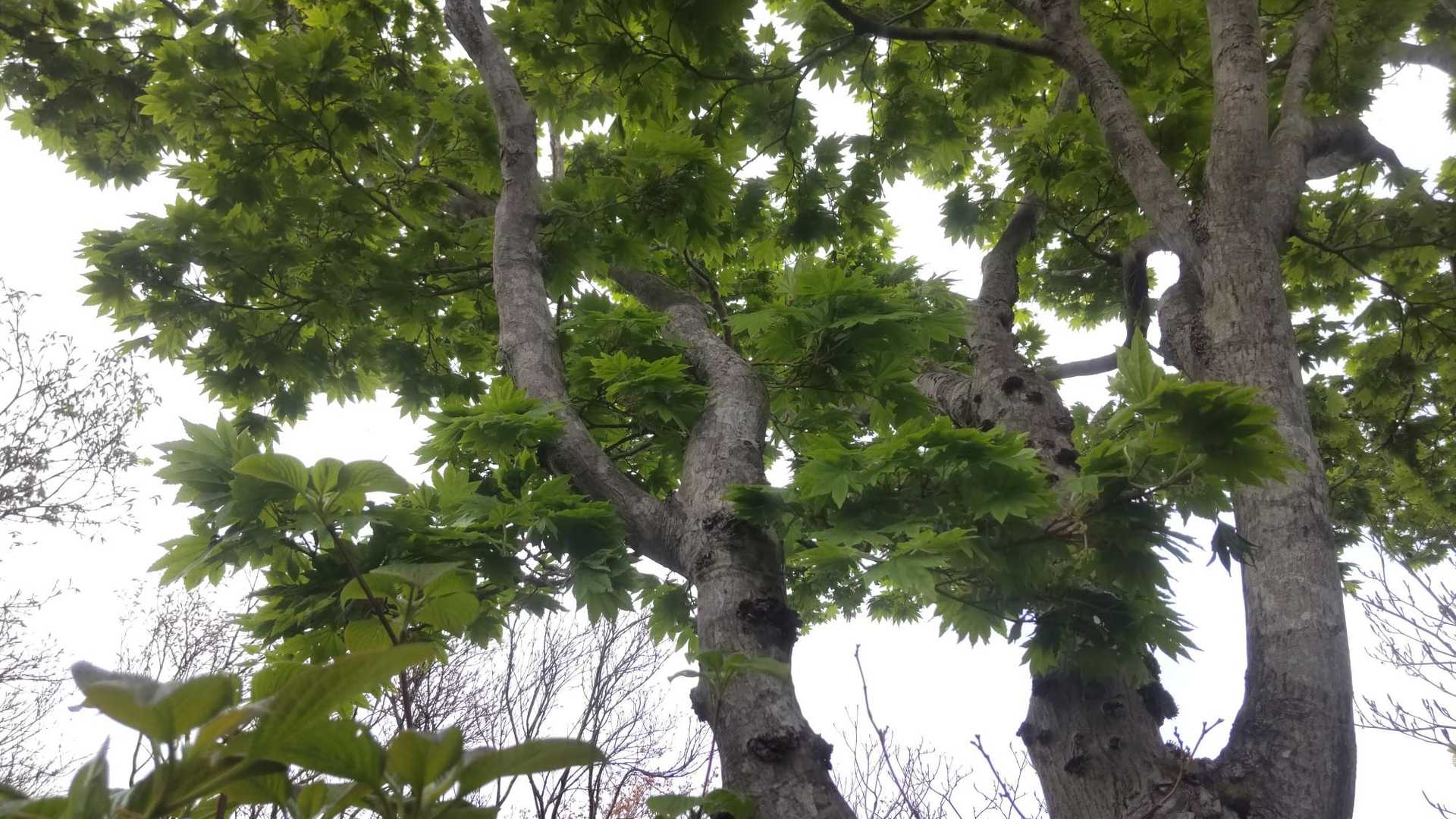 あちこち見ながら帰ります