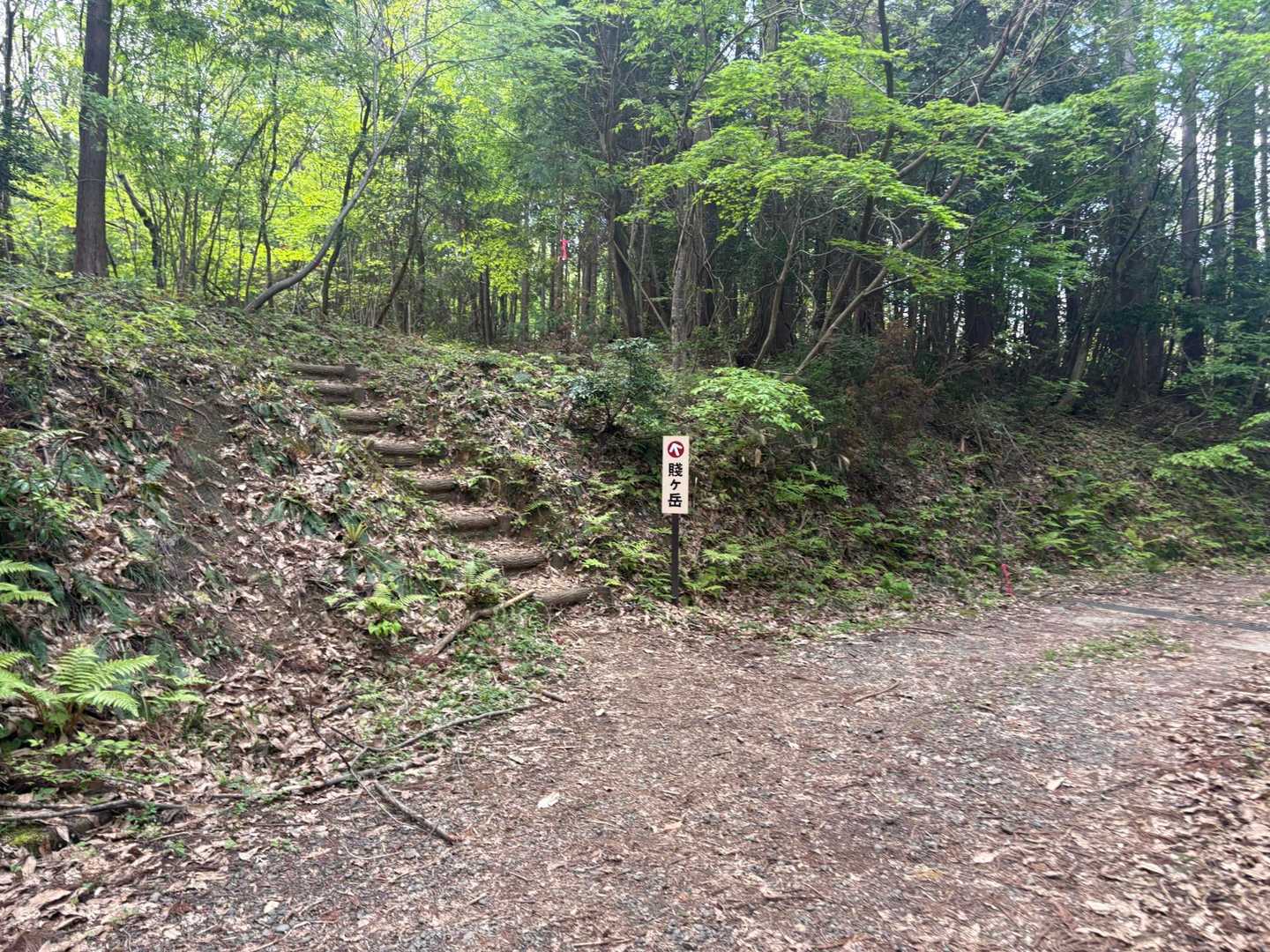 【フラット登山】滋賀・賤ヶ岳と余呉湖の写真