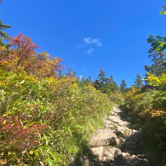 青空と色付いた葉っぱ🍂を見てワクワク⤴️