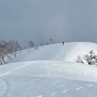 ここまで長い道のりでした