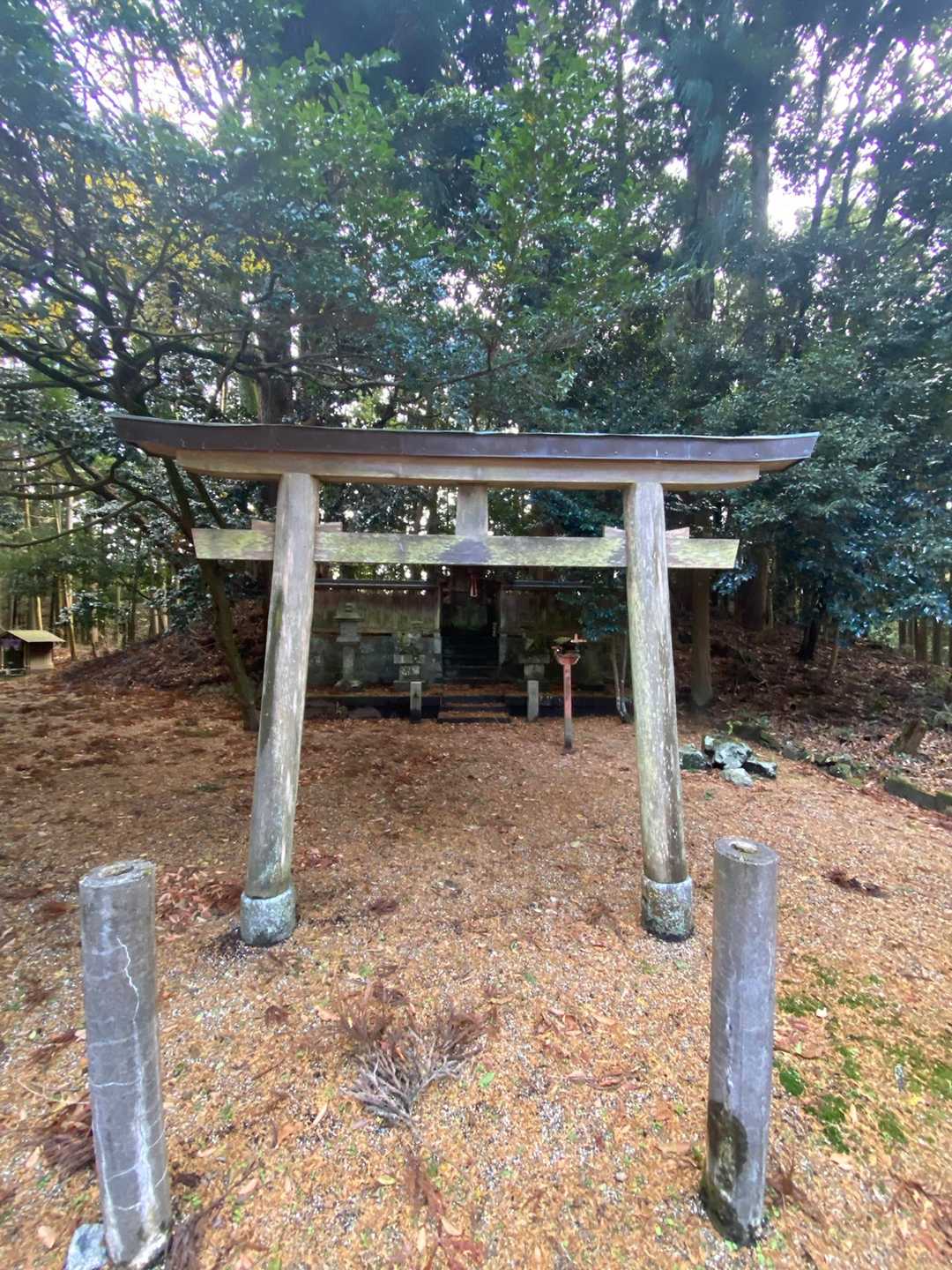 神社発見⛩