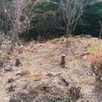 復路は、正規の登山道を下ります。