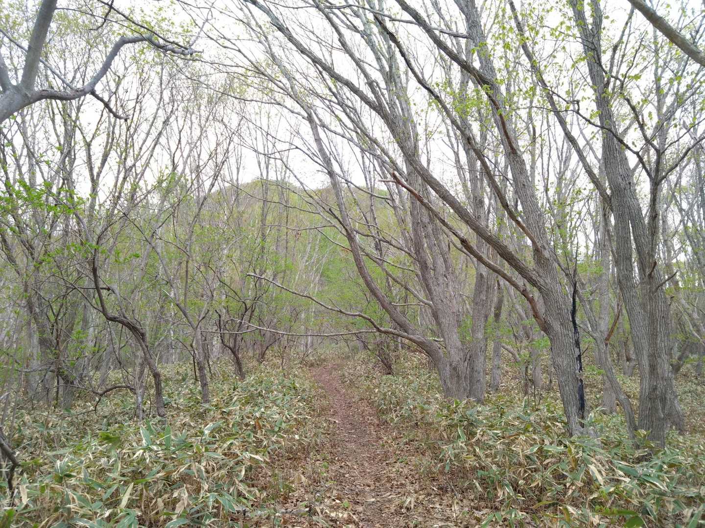 目指す山頂