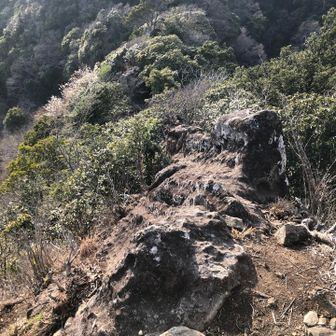 両脇は狭くて堕ちやすい