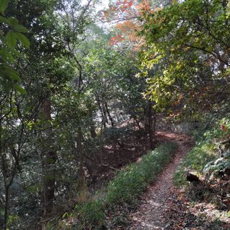 急斜面の後、緩斜面