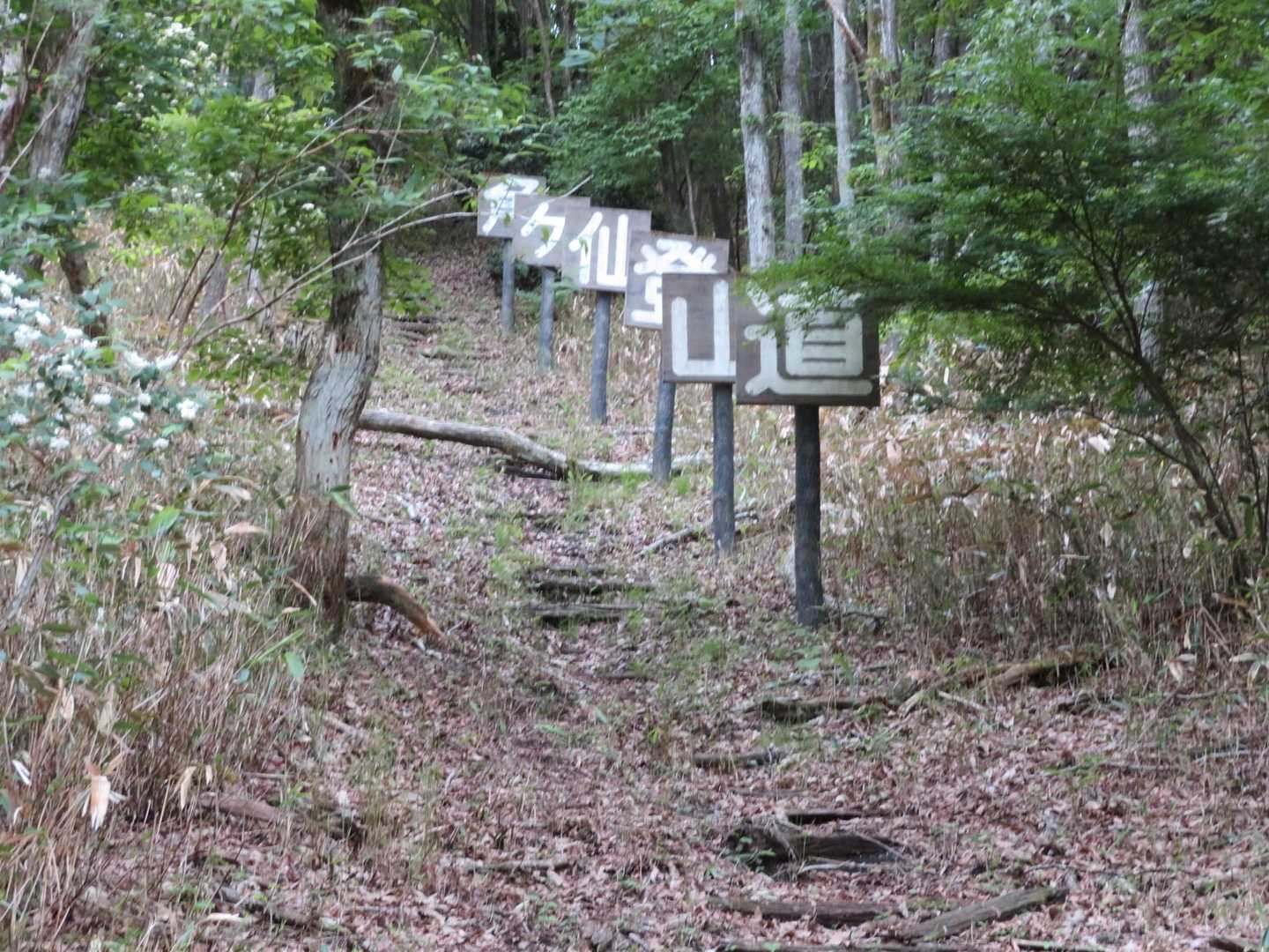 これを見て安心しました😄
