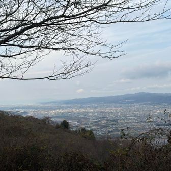 紀ノ川〜和歌山市方面　海も…見えてる？