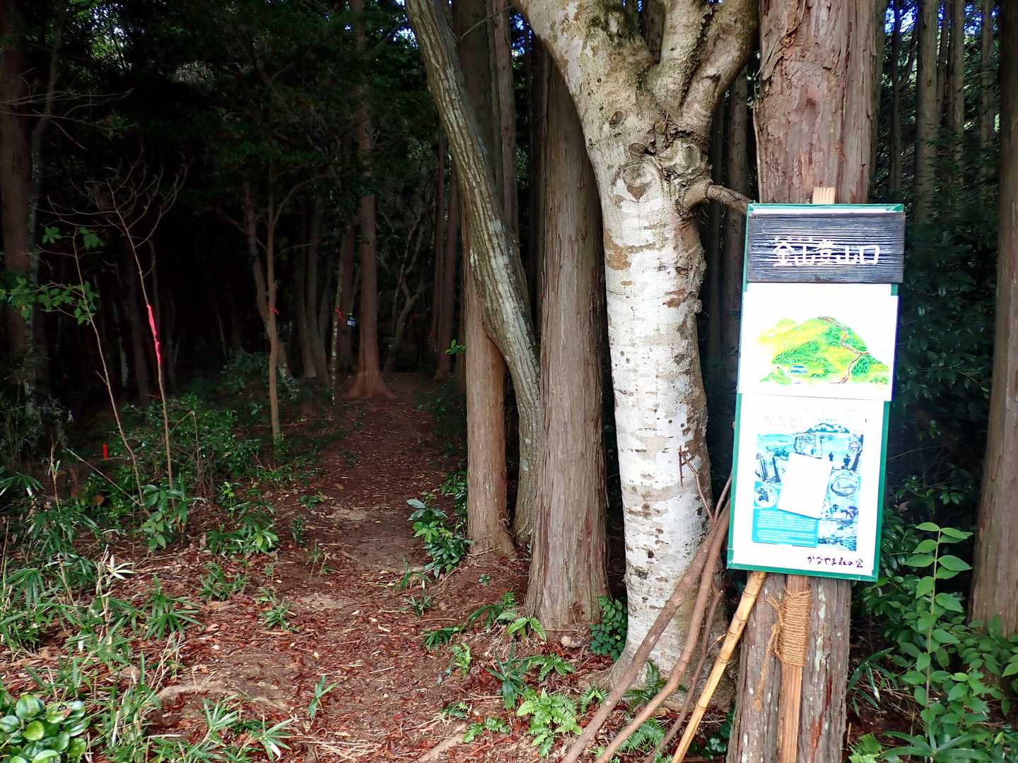 ここから山道に取り付きます。