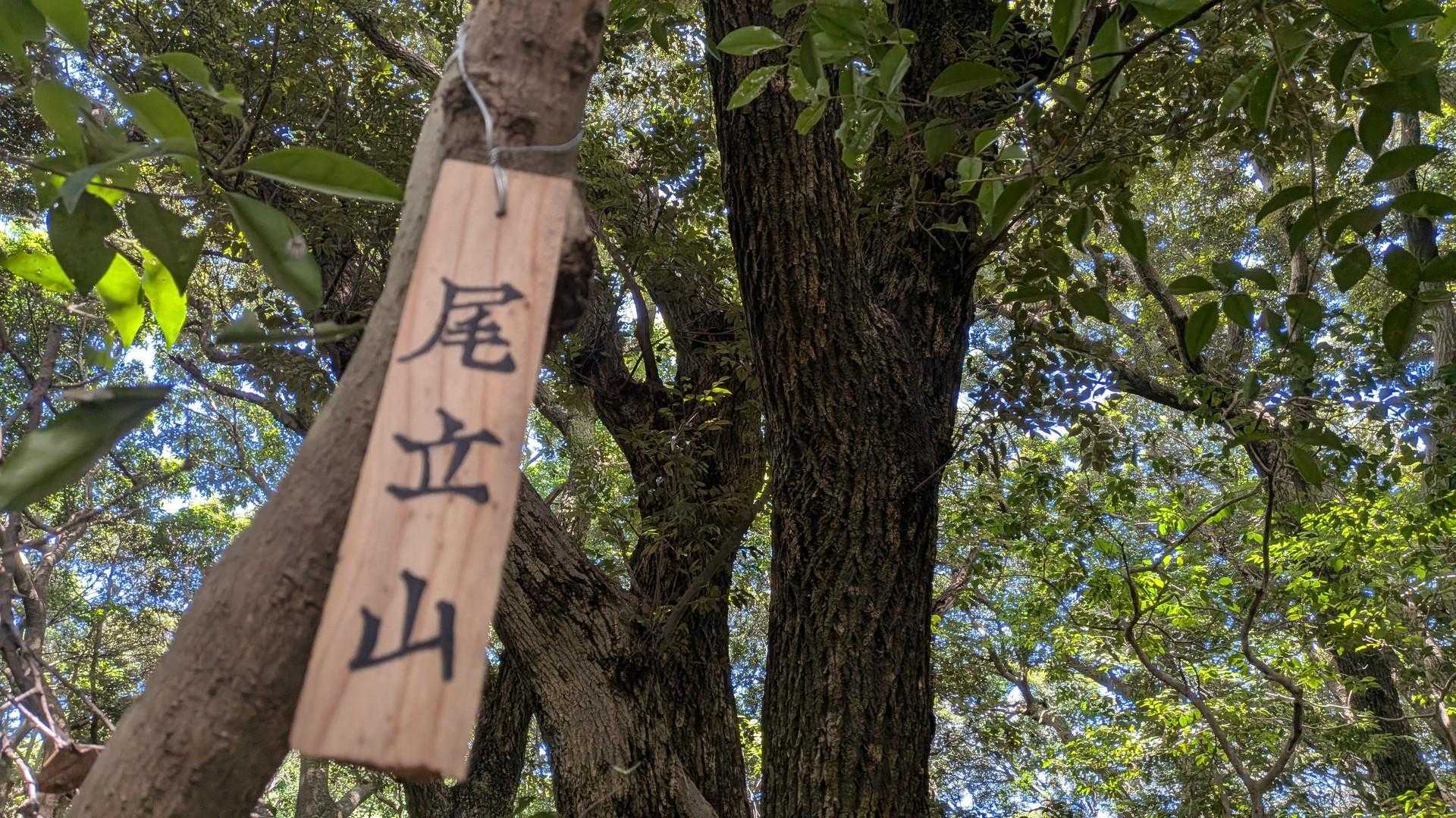 上にもう1つ標識あった