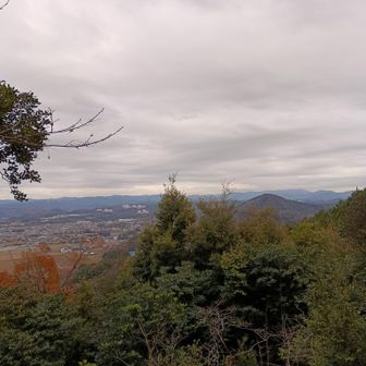 JAROに電話しました🤥