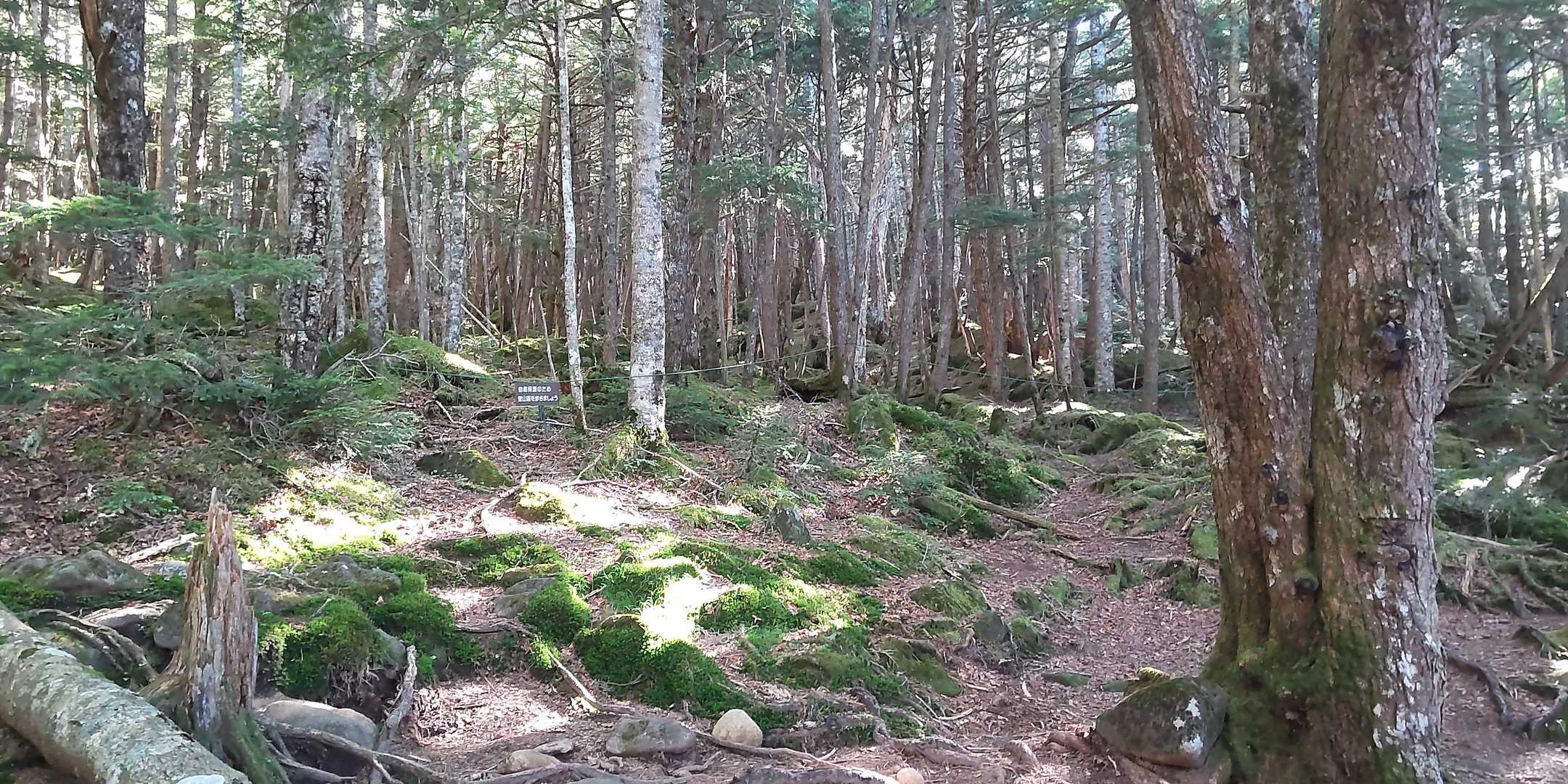 編笠山周回 | 八ヶ岳最南端にそびえる円錐形の山頂から、名だたる名峰を望むの写真