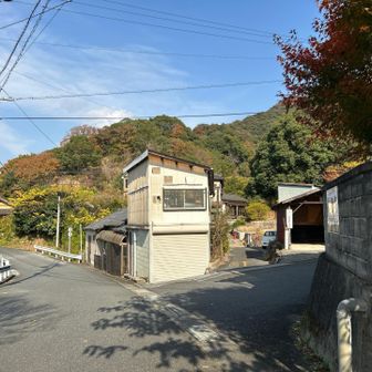 ここに出てきました