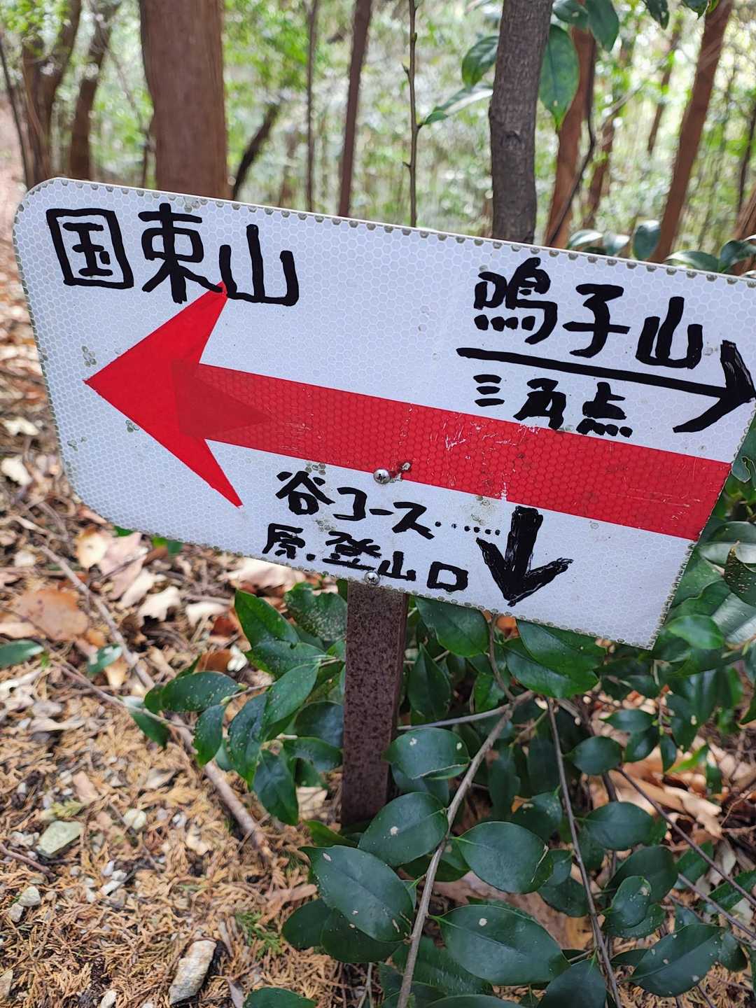 今日の下り、初の谷コースを使います😁