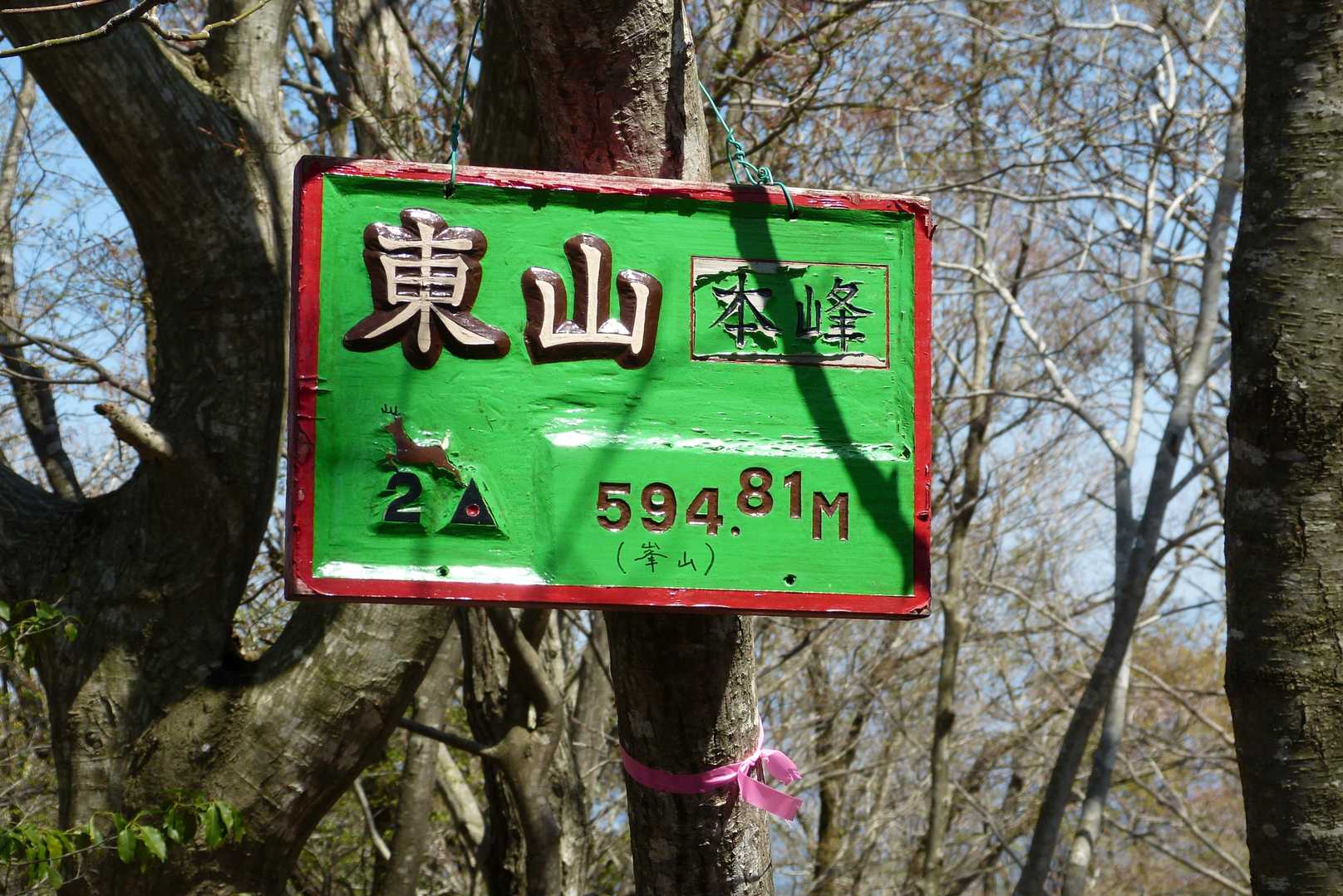 花を見ながら緩い斜面を歩いてるうちに、東山の山頂到着です。