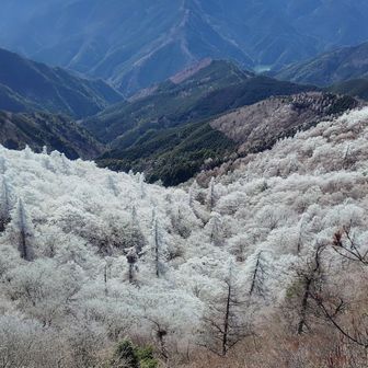 三森山方面も美しい霧氷群