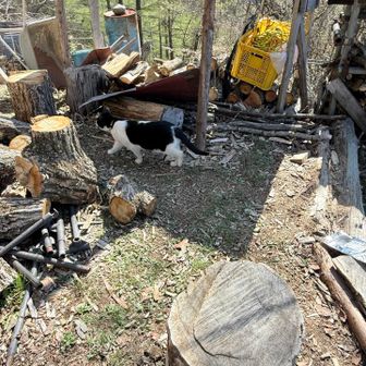 七ツ石小屋で休憩