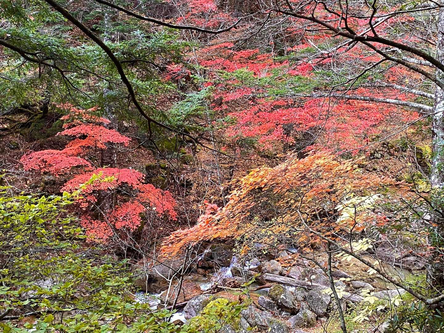 みずがき山自然公園-不動滝-瑞牆山-富士見平小屋 周回コースの写真