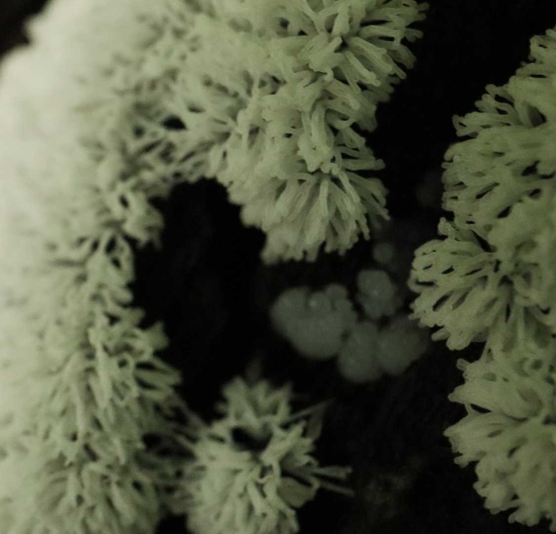 牛曳山登山口-伊良谷山-毛無山 周回コースの写真