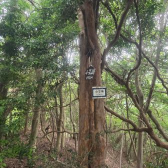 小笠峰山頂