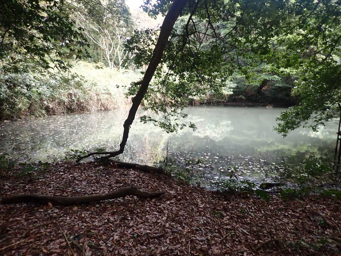 城山-長野岳 周回コースの写真