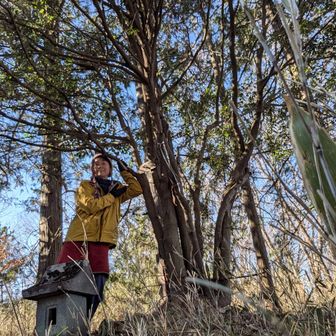 両崖山・仙人ヶ岳・石尊山 杉林をジグザクと
ふた登りでエラソーな名前の山頂
見晴らし弱いけど