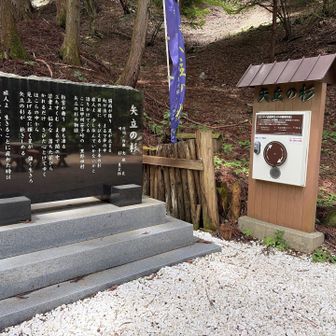 唐突に整備された矢立の杉に到着。手回し音声案内は必聴！