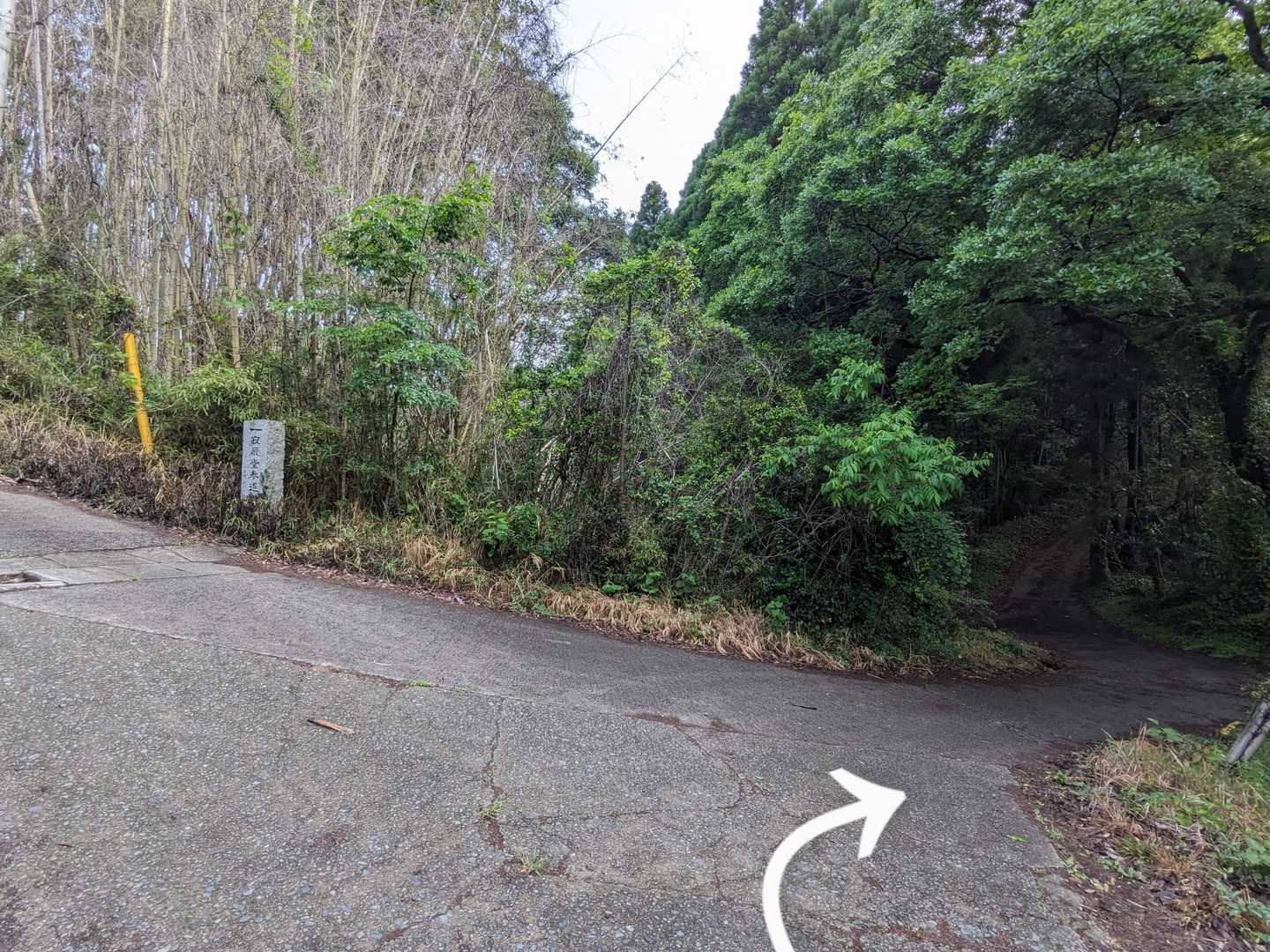 正しくは分岐を↗右でしたので
少し下ります