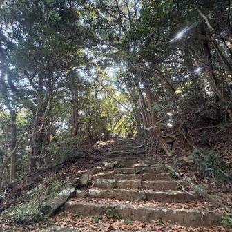 🪰情報ありましたが、今日は運良く？いないねー
