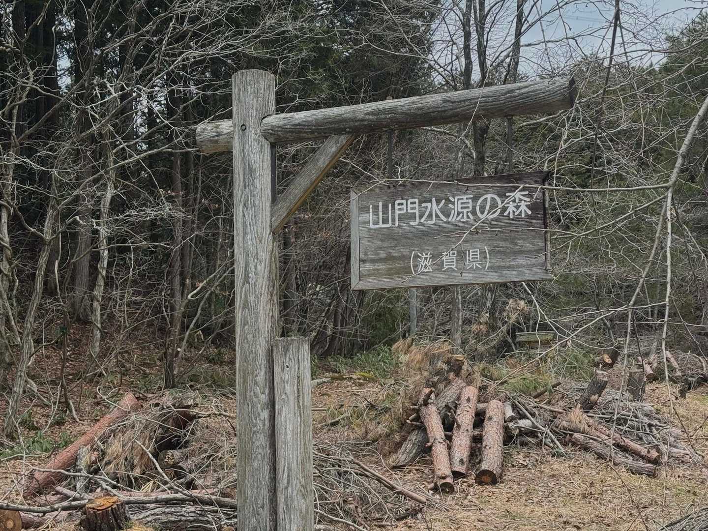 東ヶ谷山 往復コースの写真
