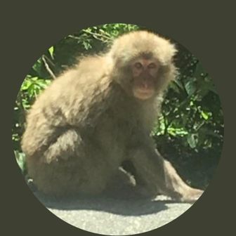 ぼっち登山滝汗マン