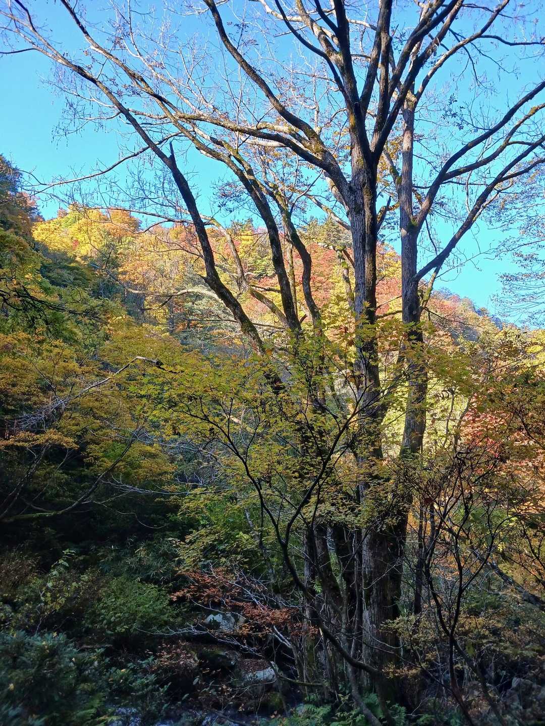 どこを見てもキラキラ✨
