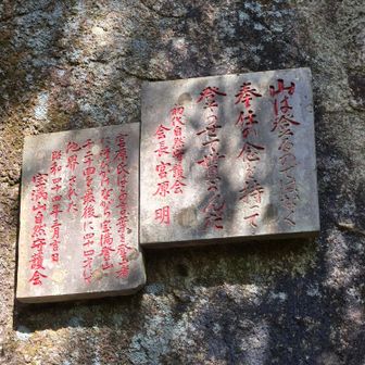 この言葉、すごく心に響く。
山に感謝です😊