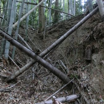 倒竹が行く手を阻むが・・・😱