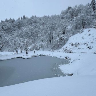池も真っ白に。