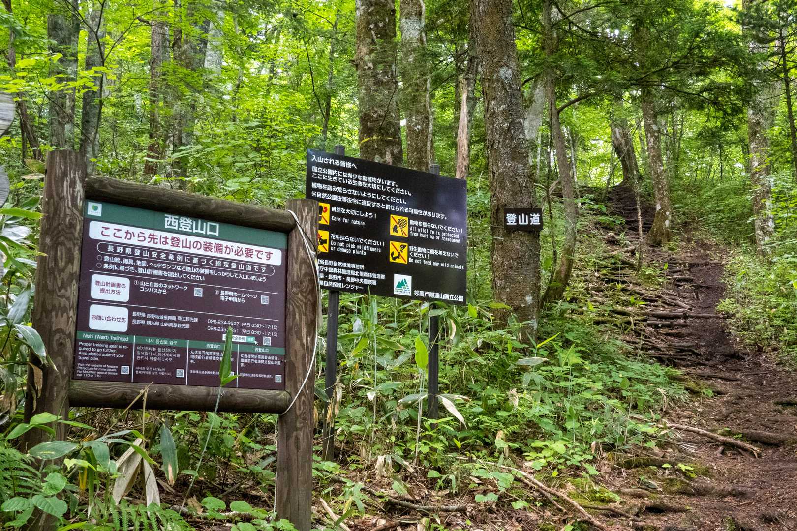 駐車場から西登山口まで15分ほど