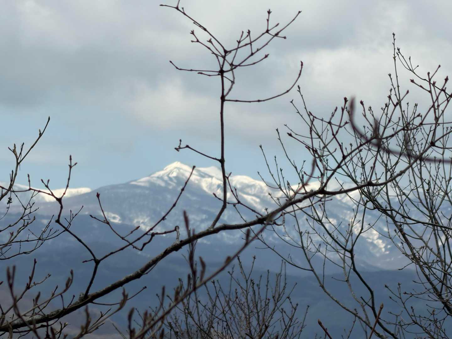 達居森 周回コースの写真