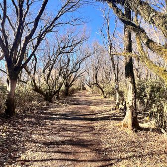束の間のルンルンロード