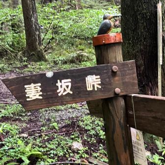妻坂峠への登山口