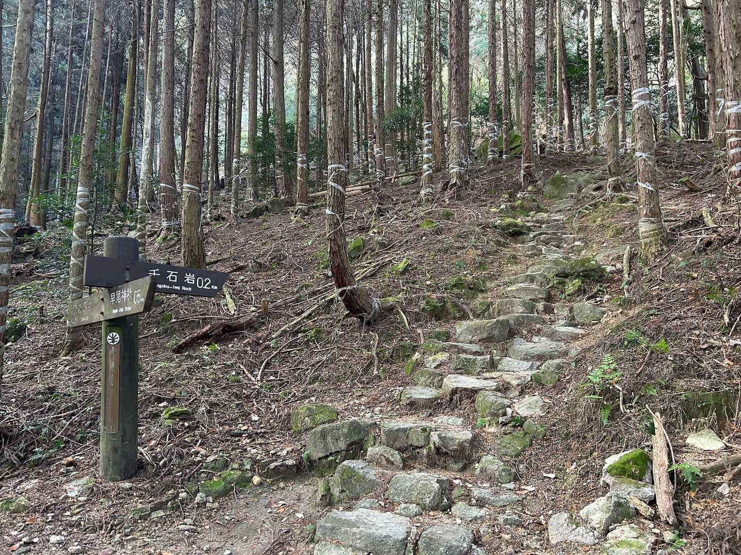 景観を損ねない様に整備されています。
昔から参拝していた方々が作ったのでしょうか？