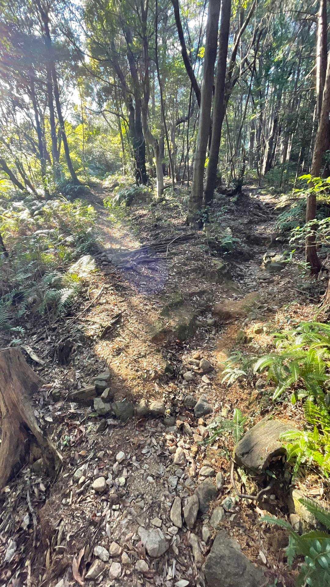 振り返ると、迷い安い所には目印あり