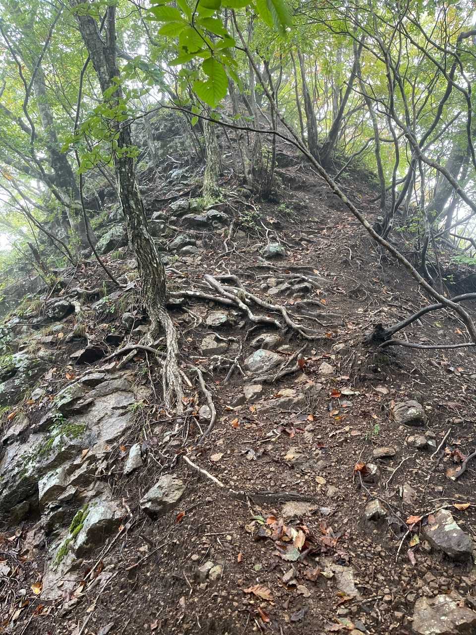 所々岩山のピークが現れる