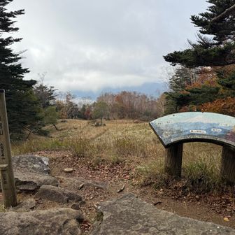 心眼で富士山を見る👀