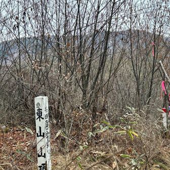 東山に到着。
向こうに見えるのが高ボッチ。
遠いけど、あそこまで行きたい。
ここから先、林道に出るまでは道迷いに注意⚠️