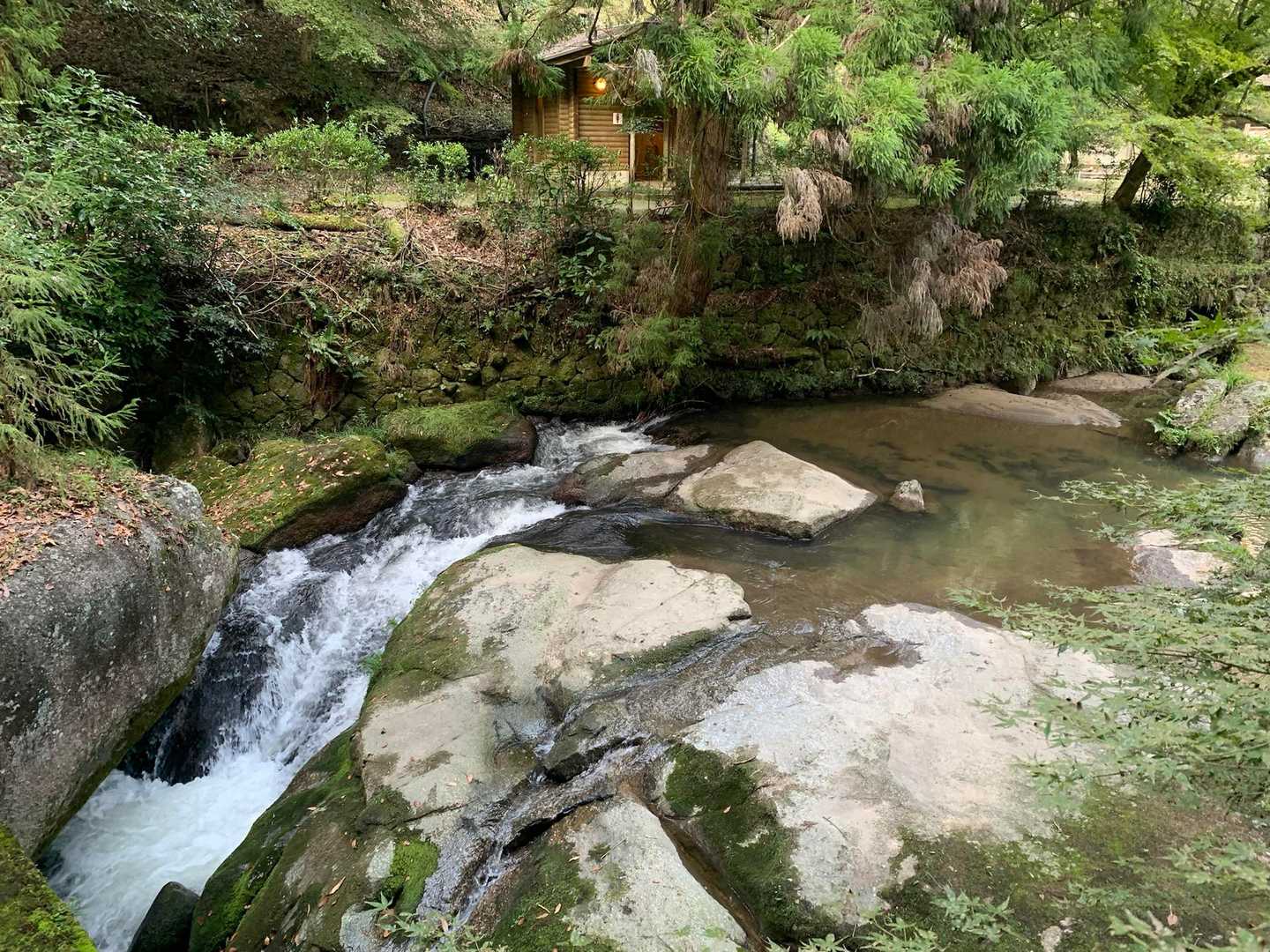 梟ヶ城址展望台 周回コースの写真