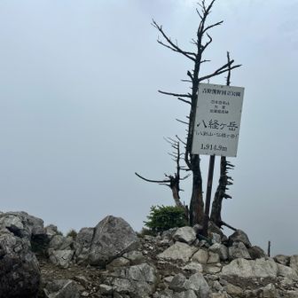 雲で何も見えない...