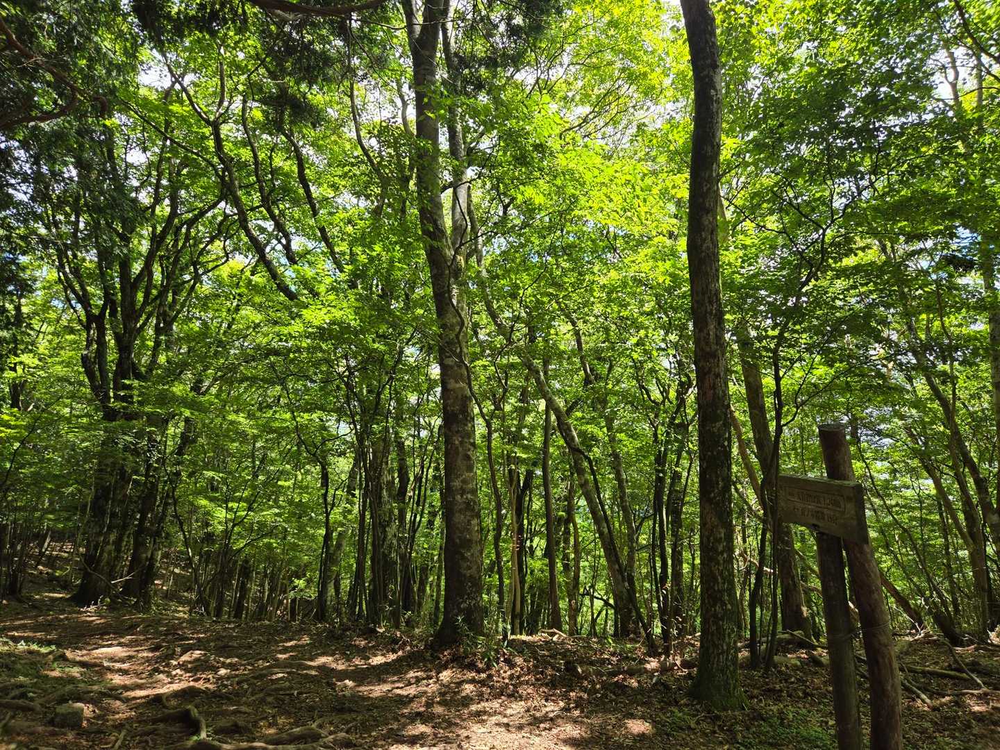 下山します