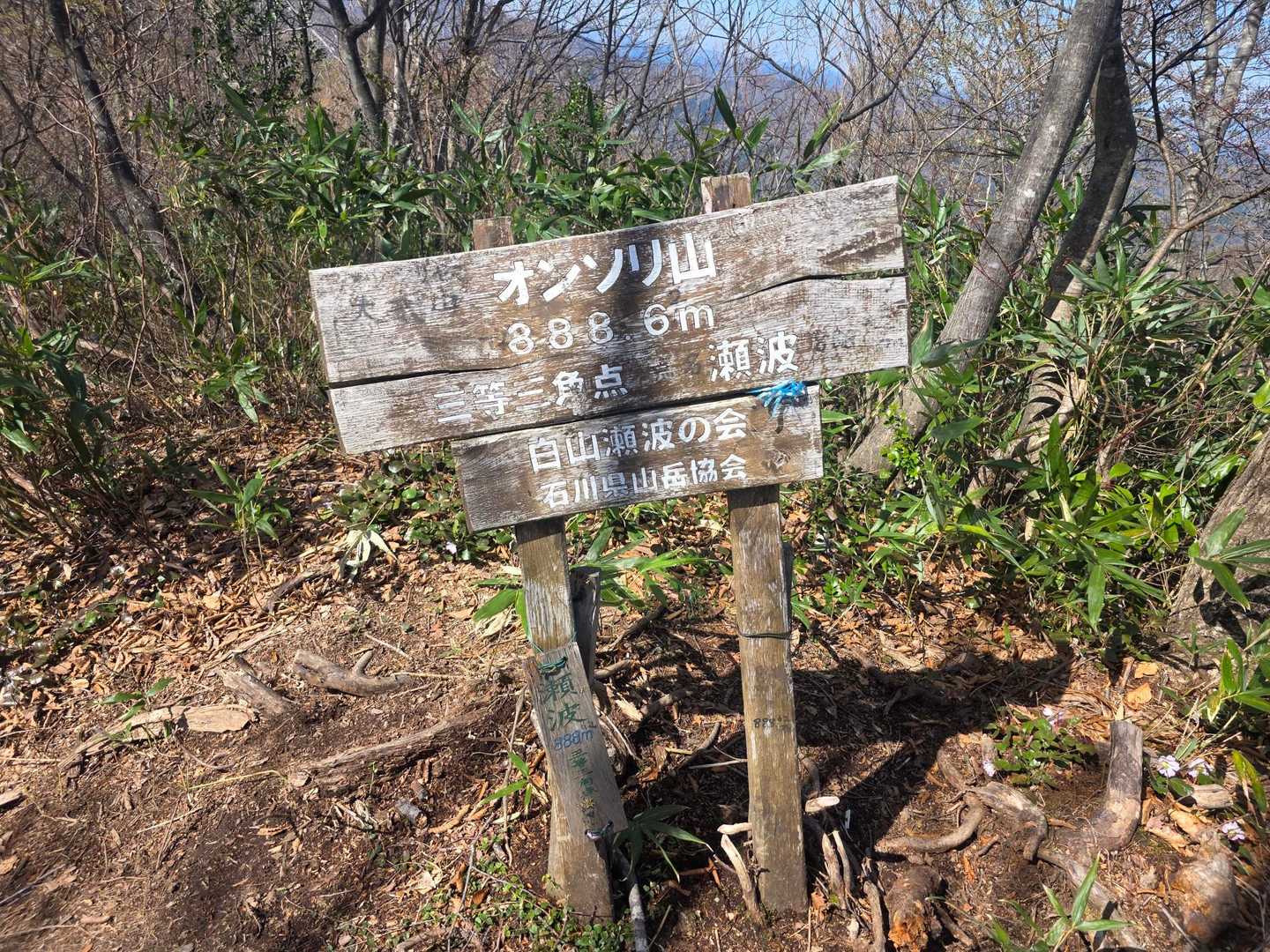 笈山 周回コースの写真